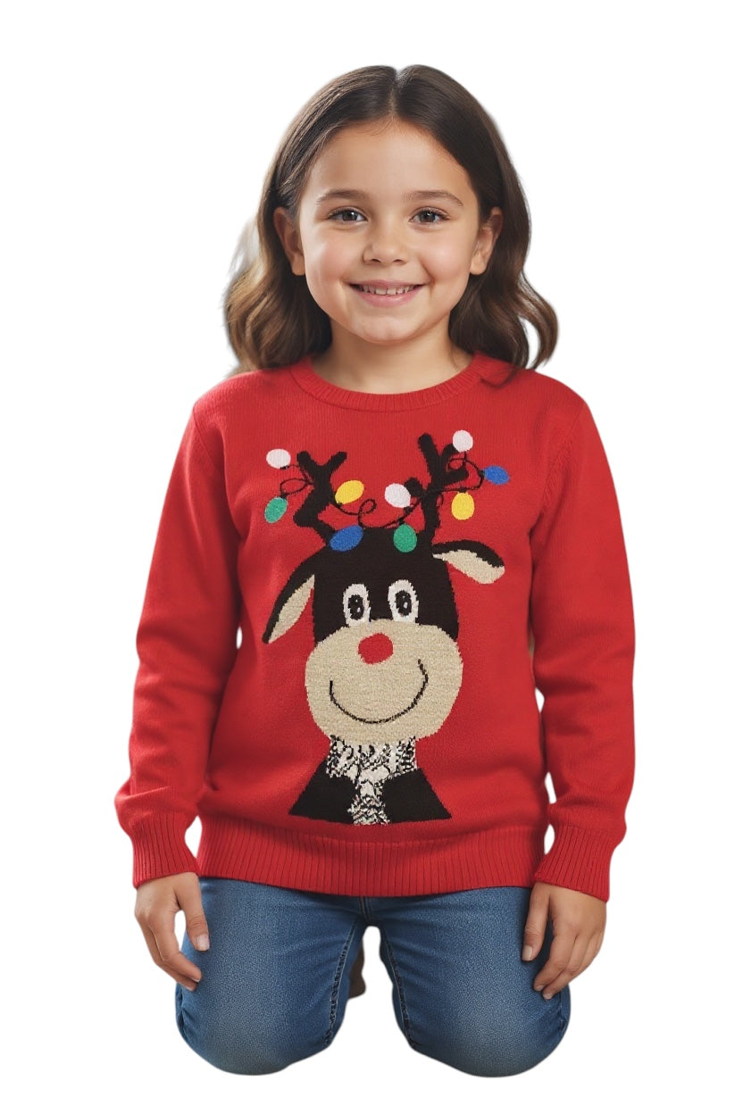 Ugly Sweater / Sueter Navideño con Reno con luces bordadas. Niños