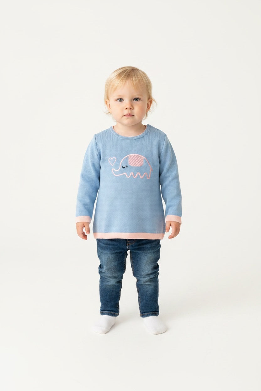 Sueter cuello redondo con elefante bordado.